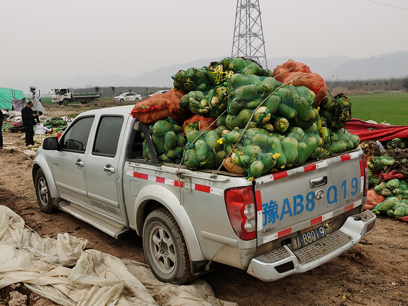 新冠疫情期間，幫扶蘿卜滯銷戶